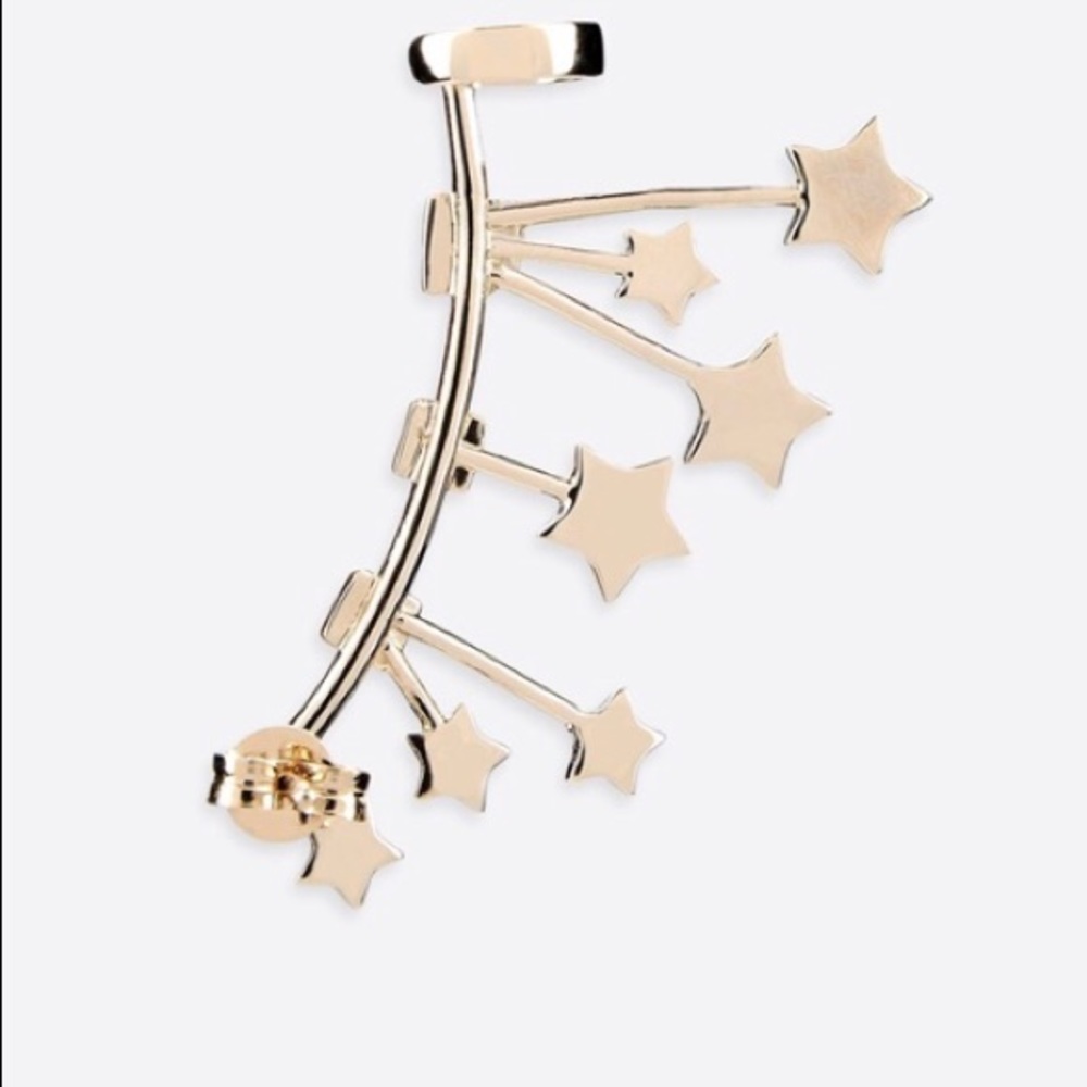 🌟 NEW 🌟 Valentino star earring crawler